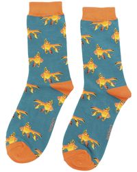 Miss Sparrow - 1 Pack Ladies Novelty Animal Patterned Bamboo Socks - Lyst
