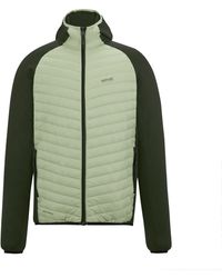 Regatta - Andreson Hybrid Jacket (Light Sage/Dark) - Lyst