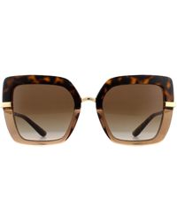 Dolce & Gabbana - Sunglasses Dg4373 325613 Top Havana On Transparent Gradient Metal - Lyst