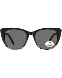 Montana - Cat Eye Tortoise Polarized Mp173 - Lyst