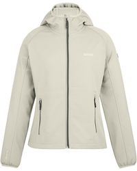 Regatta - Soft Shell-Jas (Grijze Dageraad) - Lyst