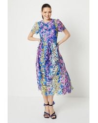 Coast tizzy dress sales