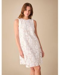 Ro&zo - Petite Lace Mini Shift Dress - Lyst