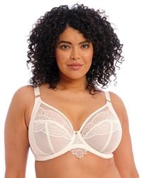 Elomi - 4550 Priya Plunge Bra - Lyst