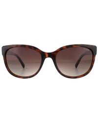 Polaroid - Sunglasses Pld 4030/S Q3V La Dark Havana Glitter Gradient Polarized - Lyst