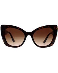 Dolce & Gabbana - Cat Eye Havana Gradient Dg4405 - Lyst