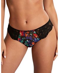 Panache - Nina Brazilian Brief - Lyst