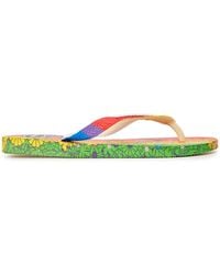 Havaianas - Top Pride Premium 37 38 Flip Flops - Lyst