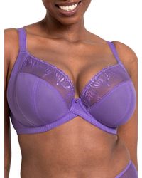 Curvy Kate - Flare Plunge Bra - Lyst