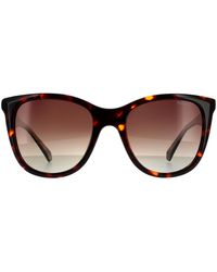 Polaroid - Square Havana Gradient Polarized - Lyst