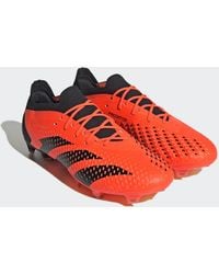 adidas Originals - Predator Accuracy.1 Low Firm Ground Boots - Lyst