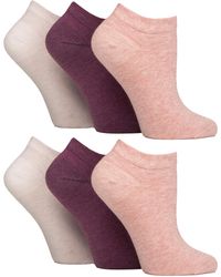IOMI - 6 Pack Diabetic Trainer Socks - Lyst