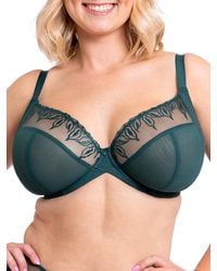 Curvy Kate - Flare Plunge Bra - Lyst