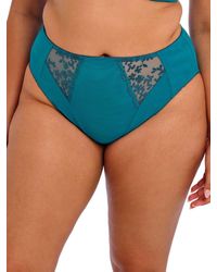 Elomi - Zarla High Leg Brief - Lyst
