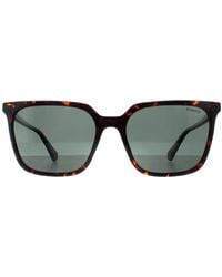 Polaroid - Square Havana Polarized Pld 4163/S - Lyst