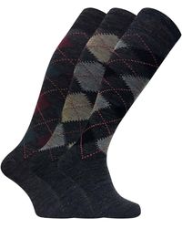 Sock Snob - 3 Pairs Extra Long Knee High Argyle Lambs Wool Dress Socks - Lyst