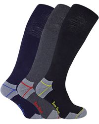 Sock Snob - 3 Pairs Long Knee High Work Socks - Lyst