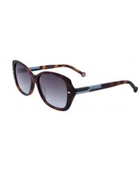 Carolina Herrera - Her0176-G-S-Phw-56 56Mm Havana Sunglasses - Lyst