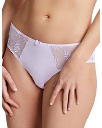 Panache - 9073 Tango Brief - Lyst