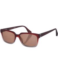 Zen - Z401 Square Shape Acetate Sunglasses - Lyst