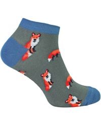Mr Heron - Bamboo Trainer Socks - Lyst