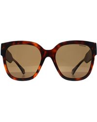 Polaroid - Pld 6167/S 086 Sp Havanna Bronze Polarisierte Sonnenbrille - Lyst