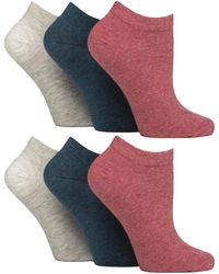 Gentle Grip - 6 Pack Diabetic Trainer Socks For - Lyst