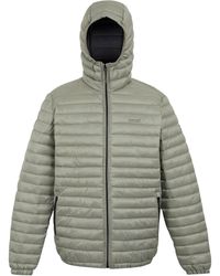 Regatta - Hurden Padded Jacket (Golden) - Lyst