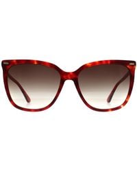 Calvin Klein - Butterfly Burgundy Havana Gradient Ck22532S - Lyst