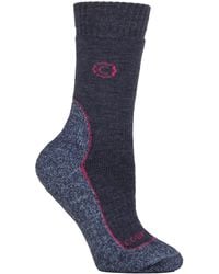 Country Pursuit - Ladies Wool Blend Cushioned Walker Socks For Hiking & Outdoor Comfort - Lyst