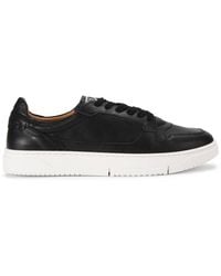 Steve Madden - Leather Cliff Trainer Sneakers - Lyst
