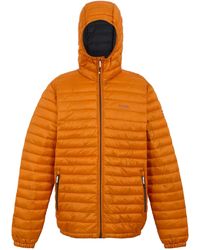 Regatta - Hurden Padded Jacket (Fox) - Lyst