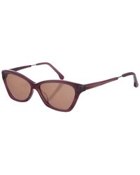 Zen - Z437 Cat-Eye Acetate Sunglasses - Lyst