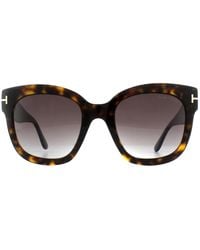Tom Ford - Square Dark Havana Bordeaux Gradient Sonnenbrille - Lyst