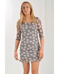 Phase Eight - Lace Daisy Print Dress - Lyst