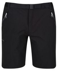 Regatta - Xert Iii Stretch Shorts - Lyst