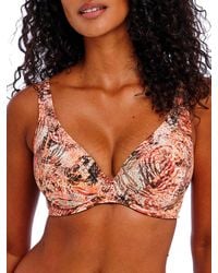 Freya - Desert Cat High Apex Bikini Top - Lyst
