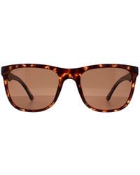 Police - Rectangle Matte Dark Havana Spl357 Blackbird Light 2 - Lyst