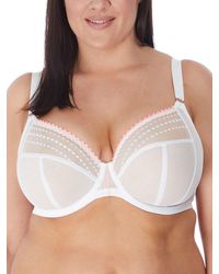 Elomi - Matilda Plunge Side Support Bra - Lyst