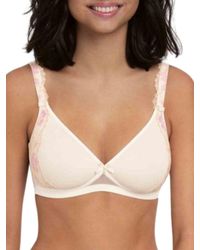 Rosa Faia - Colette Spacer Soft Bra - Lyst