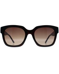 Guess - Square Dark Havana Gradient Gf6128 - Lyst