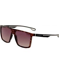 Carrera - 4019 S 58 086 Sunglasses - Lyst