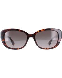 Kate Spade - Kenzie/g/s 086 Ha Havana Bruin Gradiënt Zonnebril - Lyst