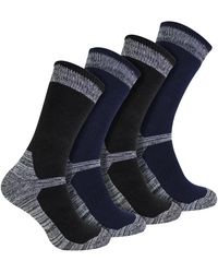 Sock Snob - 4 Pack Cotton Reinforced Industrial Outdoor Work Socks - Lyst