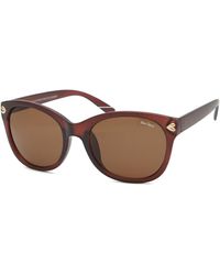 Peter Storm - St Ives Sunglasses - Lyst