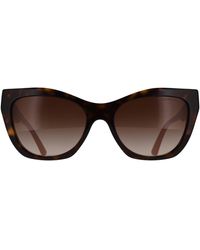 Emporio Armani - Cat Eye Shiny Havana Gradient Ea4176 - Lyst