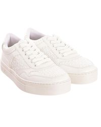 Liu Jo - Classic Sneaker Alicia 505 4A3701Ex014 - Lyst
