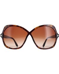 Tom Ford - Butterfly Dark Havana Gradient Rosemin Ft1013 - Lyst