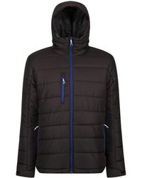 Regatta - Navigate Thermal Padded Jacket /New Royal) - Lyst
