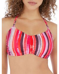 Freya - Bali Bay Bralette Bikini Top - Lyst